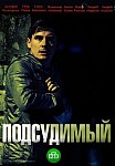 Подсудимый (2019)