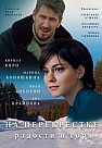 На перекрестке радости и горя (2016)