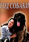 Год собаки (2019)